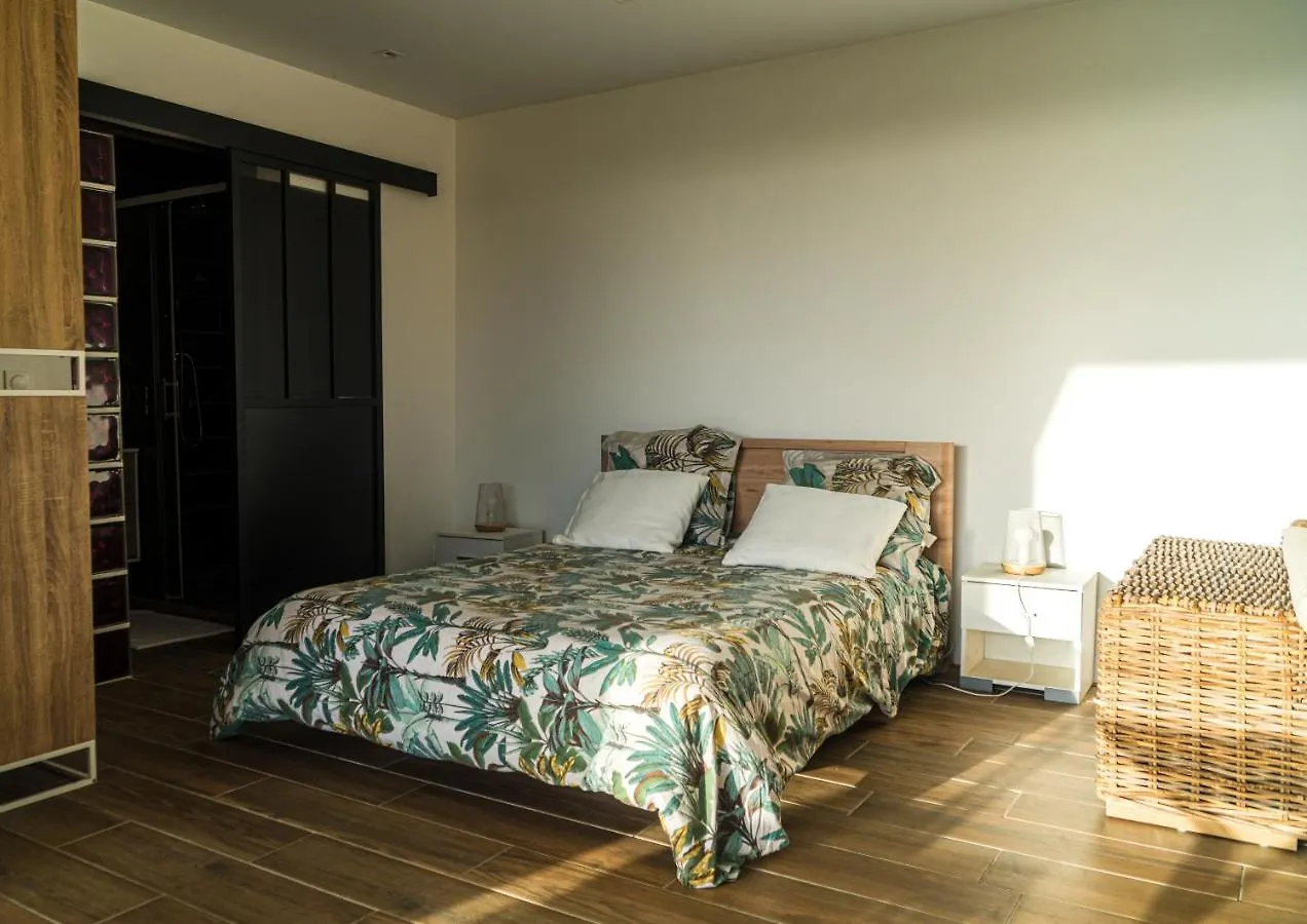 Appartement Studio : Ecaille De Tortue Sainte-Luce